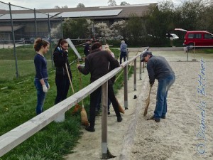Hier wird mühevoll der Teppich sauber gekehrt. Die Textilflusen vom Reitplatz haften leider sehr stark und auch der Sand lässt sich nicht wirklich gut abkehren...