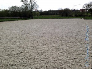 Der Reitplatz sieht wieder super aus, das ganze Gras ist weg.