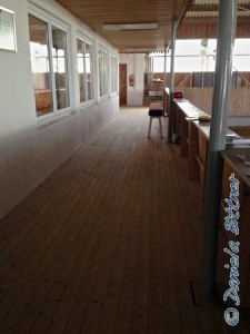 Während die einen draußen arbeiten, haben sich Anna-Lena Helmle und Andrea Ohmayer die Reithalle vorgenommen. Die Halle wurde frisch gefegt, das Reiterstüble geputzt. Für die Fenster hat Anna-Lena sogar einen Hightech-Fenstersauger mitgebracht. Nun blitzt alles wieder.