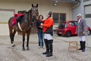 Im Hof von Herbert Walter haben sich unsere Reiter getroffen und gemeinsam die Pferde gesattelt....