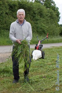 Georg Gösele und Gebhard Bühler haben dem Gras um Reitplatz und Halle den Kampf angesagt und trotz Regen am Vormittag viel Gras abgemäht...