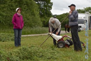 Gebhard, seine Frau Hildegard und Georg kämpfen noch immer mit den großen Mengen Gras...