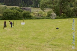 Die Arbeitsplätze für das Turnier wurden auch vorbereitet.... Hier der kleine Platz..