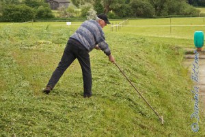 Gebhard recht das Gras zu großen Haufen zusammen, die er am Montag wegbringen will...