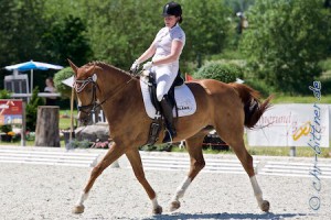 Julia Rettenmaier stellte ihre Famous Face in der Dressurpferdeprüfung Klasse A vor...