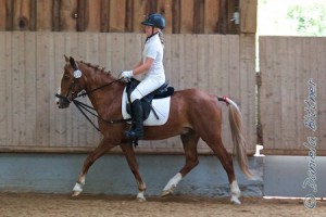 Laura Marie Schwab kennen wir von unseren Voltis, in Rindelbach reitet sie auch, hier ist sie auf Chico im Reiterwettbewerb