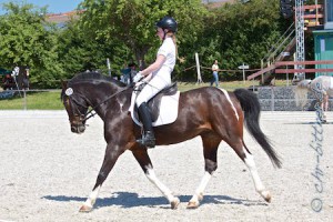 Lea Saam erreichte auf Rocky in der E-Dressur einen super zweiten Platz!