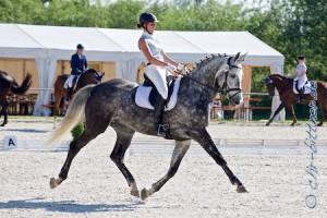Loreen Epacher war nach längerer Turnierpause mit Diego in der L-Dressur am Start...