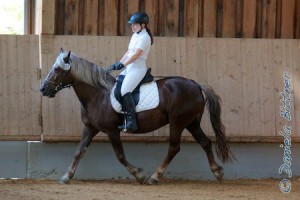 Rebecca Pöschl startete mit Special Ashley im Reiterwettbewerb Schritt-Trab-Galopp und kam auf Platz fünf...