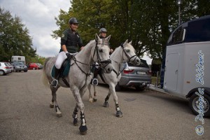 Alle sind hochkonzentriert...