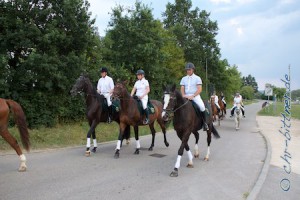 Alle reiten schön in Formation....