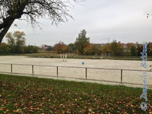 Der Reitplatz ist schon sehr sauber abgeräumt...