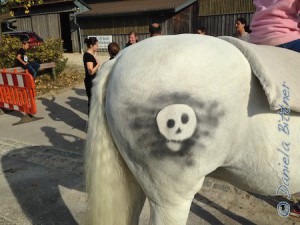Jacko hat einen lustigen Piraten auf den Pferdehintern bekommen...