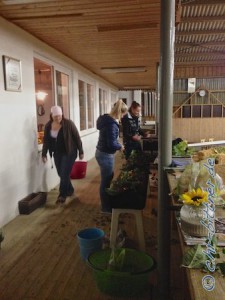 Cornelia Wengert kümmert sich wieder bewährt um den Hallenschmuck. Unterstützt wird sie von vier bis fünf weiteren Mädels..