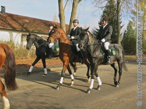 Alle Pferde, auch die Neulinge Jonny (unter Gerd Wiedenhöfer), Sternwanderer (unter Georg Gösele) und Quod Libet (unter Tanja Spaag-Wagner) waren sehr brav.