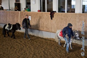 Auch Andrea und Martin Esdar werden mit ihren Ponys wieder eingespannt...