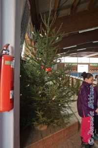 Der Weihnachtsbaum ist festlich beleuchtet...