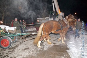 Hier kommen sie am Aufstellplatz an, die Pferde noch kurz abschirren, dann haben sie es geschafft...