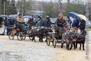 Bei Brigitte Schmid fuhr Dominik Esdar als Beifahrer und verhalf ihr so mit zum zweiten ersten Preis. Brigitte fuhr nachher beim Umzug bei uns mit und zwei weitere ihrer Pony-Gespannfahrerinnen ebenfalls. So waren beim Verein nicht nur eine Kutsche, sondern sogar vier!