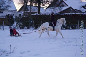 Und ab geht die wilde Fahrt...