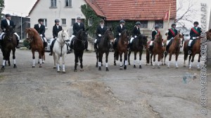 Alle Reiter auf einen Blick...