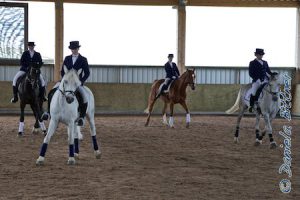 Unser Team für den OstalbDressurCup, das Team PTS, Funk & kat and more zeigte seine Quadrille, mit der sie in Essingen gewonnen hatten. Allerdings mussten sie kurzfristig die Pferde ändern. Es ritten hier Inga Maierhöfer auf Hotte, Elena Boschatzke auf Fennek, Cornelia Brenner auf Montepulciano und Sandra Schneider auf Micky. Anja Ebert pfiff die Kommandos. Trotz diesen Wechsels hatte alles geklappt!