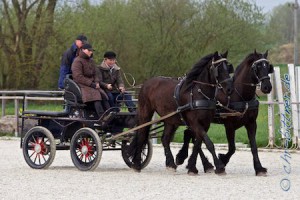 Mandy Burkhardt und Herbert Haas mit der Trainerin