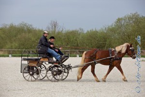 Roland Bäuerle, einmal mit Einspänner..