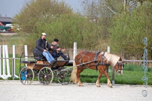 Roland Bäuerle, einmal mit Einspänner..