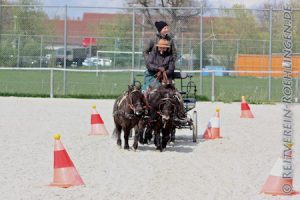 Brigitte muß beim Vierspänner mit den Kegeln genauer gucken...