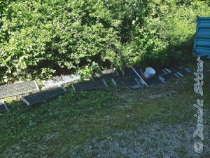 Diese lagen fein säuberlich neben der Hecke..