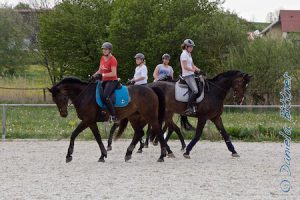 Das Team im Bild: Elena auf Monte, Marlene auf Rabina, Anja auf Della Grazia und Inga auf Herata....