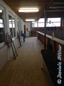 In der Reithalle sind schon die kleinen Stehtische bereitgestellt und alles ist schön aufgeräumt...