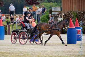 Alina Erhardt war mit dem Pony Monti am Start, als Beifahrer hatte sie Steffen Brauchle. Klar, dass sie dann für Kapfenburg und nicht für Röhlingen startet...