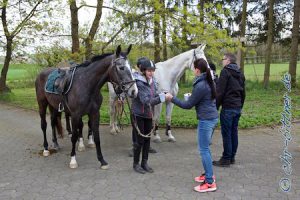 Teilweise brachten die Helfer den Reitern Getränke und Essen...