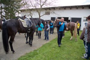 Die Reiter konnten sich stärken für den Rückweg...