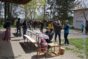 Ein schöner Blick in die Runde... Trotz der vielen Pferde auf engem Raum gab es keine Streitereien unter den Pferden...
