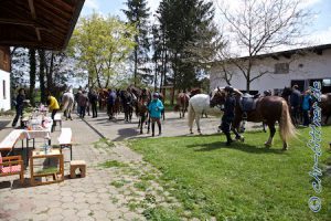 Hier sieht mal schön, wie voll der Hof war...