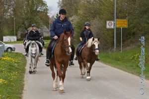 Kurz vor der Reithalle...