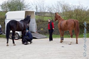 Absatteln und verladen...