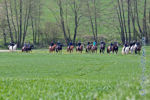 Hier sieht man mal, wie groß die Gruppe war. 18 Reiter und Reiterinnen waren dabei!