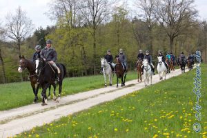 Hier kommen die Reiter bei Elberschwenden aus dem Wald...