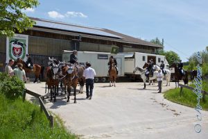 Reiter und Kutsche sammelten sich unten an der Reithalle...