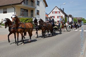Die Runde führte über die Hauptstraße bis zur Mühlbachhalle