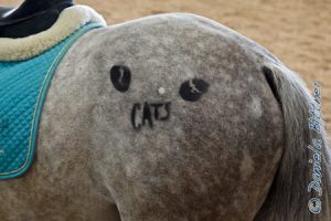 Auf Fenneks Hintern lacht "Cats" entgegen..