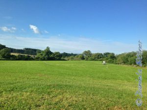 Die Abreiteplätze sind schon vorbereitet, das Gras ist überall gemäht und auch die ersten Ständer für die Hindernisse am Abreiteplatz stehen schon parat...