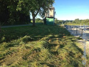 Und auch hier zwischen Halle und Reitplatz war das Gras schon gemäht..