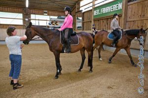 In der Reitstunde sind vier Mädels, hier sind Larissa Gösele und Constanze Müller zu sehen... Während die einen reiten, wird bei anderen erklärt...