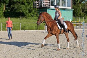 Trotz des herrlich warmen Wetters mussten alle viel arbeiten, Reiter und Pferde, so wie hier Sandra Schneider auf ihrem Delante....