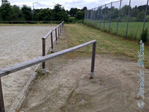 Der Teppich rings um den Reitplatz ist wieder vom Gras befreit und gesäubert...